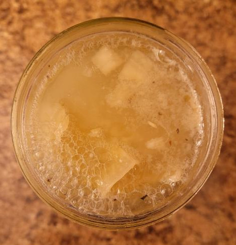 A top down view of the ferment without the lid. The liquid is opaque and there are 
       a lot of small bubbles. The surface almost looks frothy.