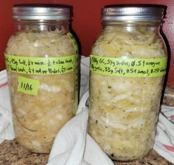 A picture of two different ferments in Ball jars. The one on the left is old, and the contents are more translucent and dull. The one on the right is the subject and is less translucent and dull.